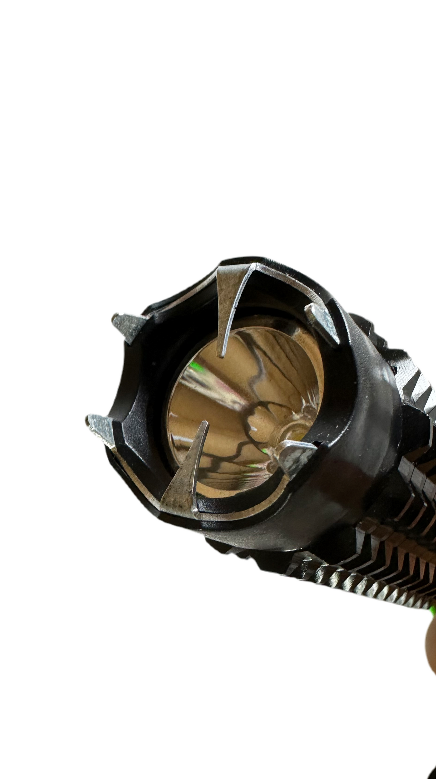 Stun Gun with flashlight